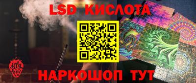 прущие крисы Камышлов