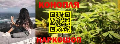 Альфа ПВП Ирбит