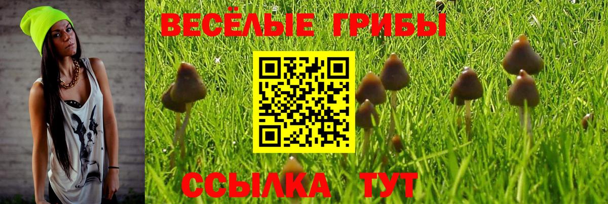 Краснокаменск  Псилоцибиновые грибы Cubensis  закладка  Вход с VPN 